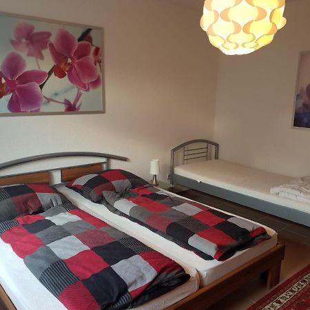 Nicoles Niedschloesschen Appartement Rehlingen-Siersburg Buitenkant foto